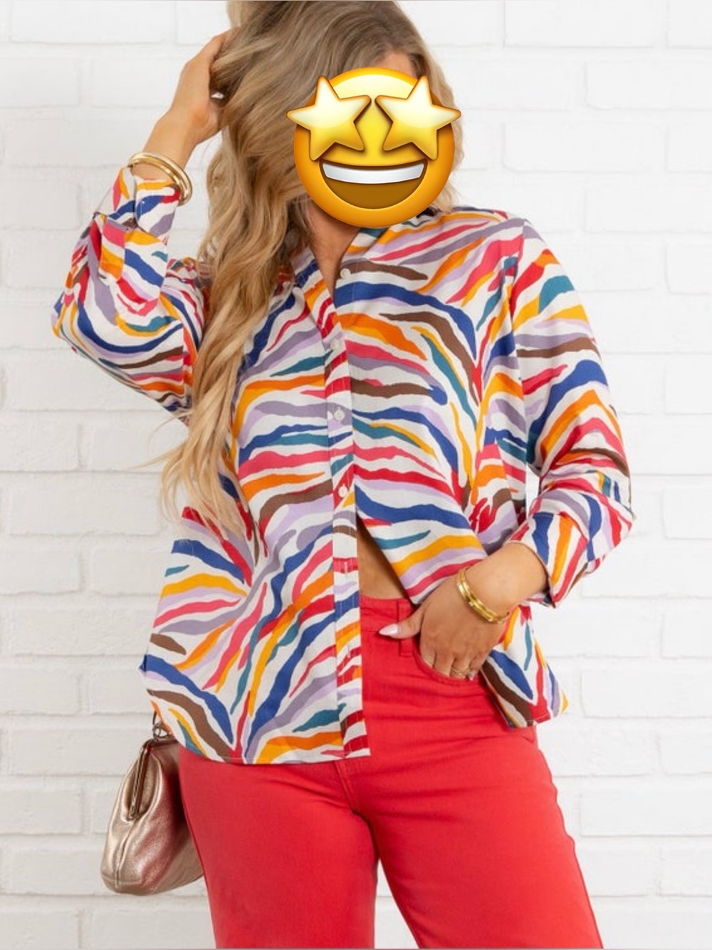 NWT Foxcroft Madison Multi Zebra Long Sleeve Top, Wrinkle Resistant (L)